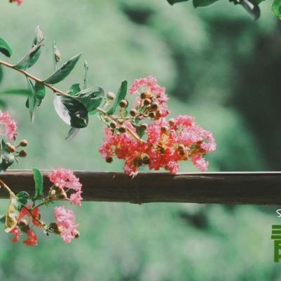 沙场死战折戟游戏
